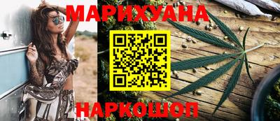 шишки Аргун