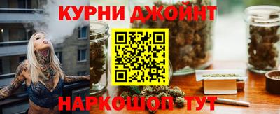 шишки Аргун