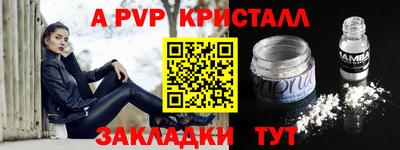 шишки Аргун