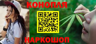 крисы Апшеронск