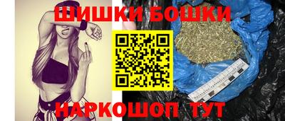 шишки Аргун
