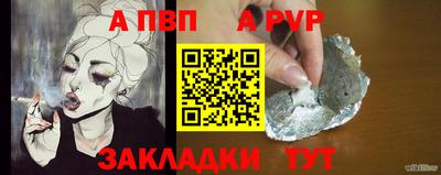 шишки Аргун