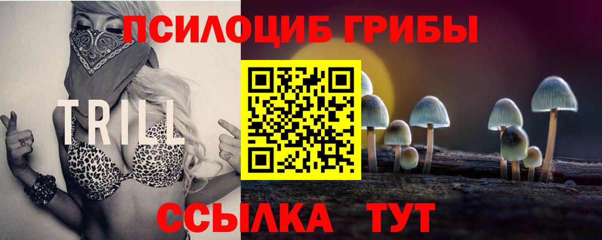 Псилоцибиновые грибы мухоморы Алушта